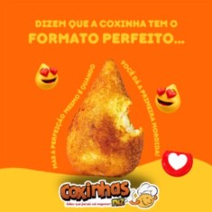 Coxinhas PNZ